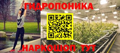 spice Пенза