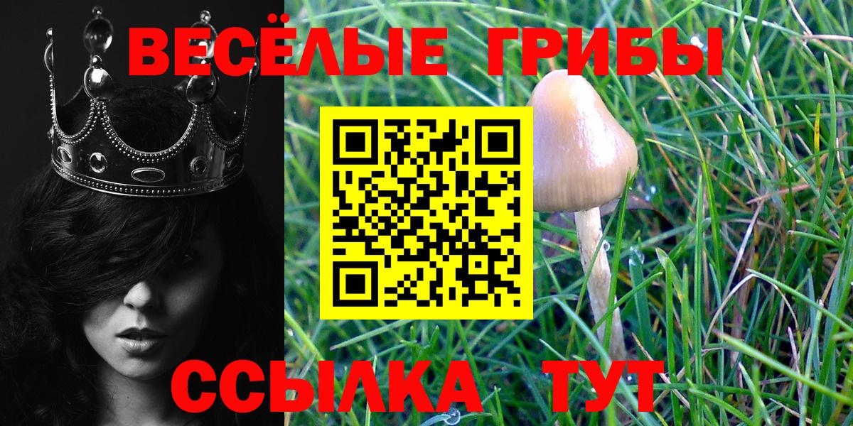 Галлюциногенные грибы Magic Shrooms Новокуйбышевск